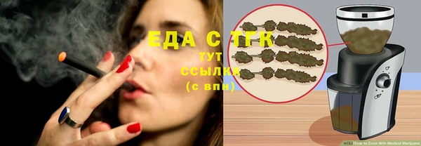 индика Карталы