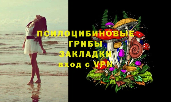 Альфа ПВП Карпинск