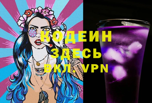 индика Карталы