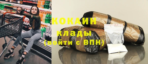 индика Карталы