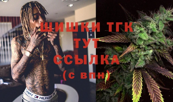 индика Карталы